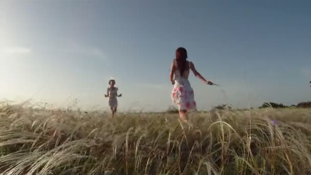 Girls dancing on the field. Two beautiful girls dancing in a field holding hands. — Stock Video