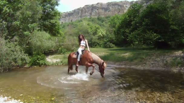 Vzpurný kůň stojící uprostřed řeky. — Stock video