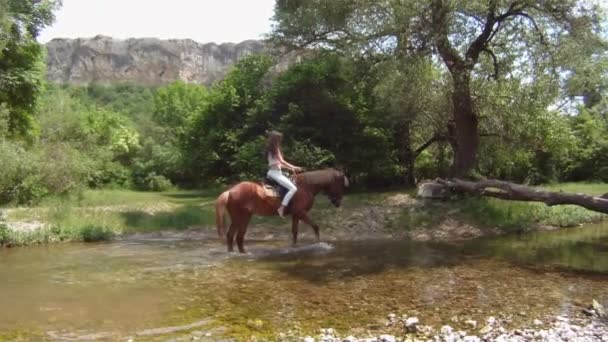 Άλογο περπάτημα κατά μήκος ενός ποταμού που ρηχά. — Αρχείο Βίντεο