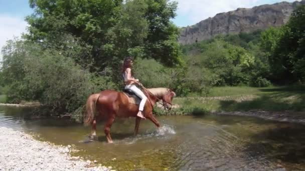 Starając się konia przez rzekę. — Wideo stockowe