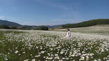papatyalar bir alanda geleneksel Ukrayna kılık giymiş küçük bir kız.