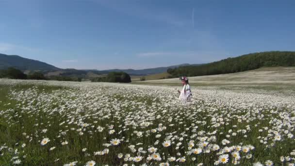 小女孩穿着传统的乌克兰服装在字段中的雏菊. — 图库视频影像