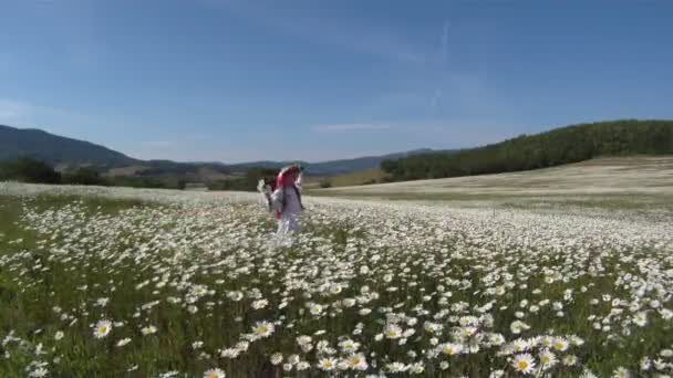 Little girl dressed in a traditional Ukrainian costume and holding a bouquet of daisies. — Stock Video