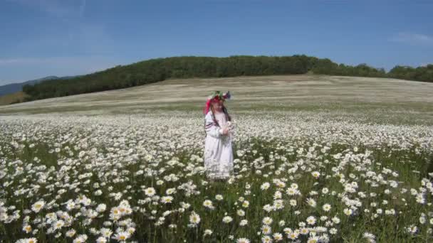 小女孩穿着传统的乌克兰服装和持有一束雏菊. — 图库视频影像