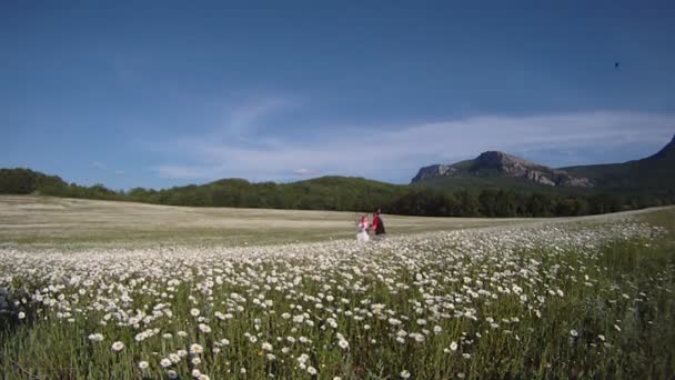Father playing with his daughter in a field of daisies. Slow motion. — Stock Video
