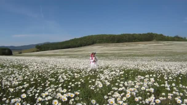 Little girl dressed in a traditional Ukrainian costume in a field of daisies. — Stock Video
