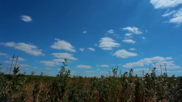 Prachtige landschap. prachtige natuur met een groen veld en een mooie blauwe hemel. — Stockvideo