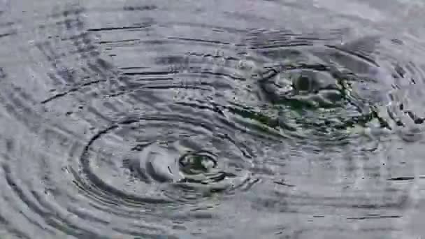 Una flebo. L'acqua gocciola nel lago . — Video Stock