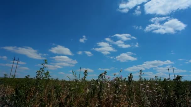 Hermoso paisaje. Hermosa naturaleza con un campo verde y hermoso cielo azul . — Vídeos de Stock