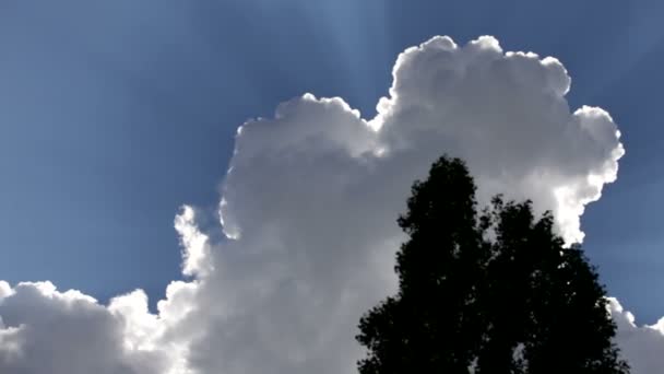 Des nuages épais. Beau ciel avec des nuages épais derrière lesquels se cache le soleil. Les rayons du soleil qui regardent par derrière les nuages. Caméra mobile . — Video