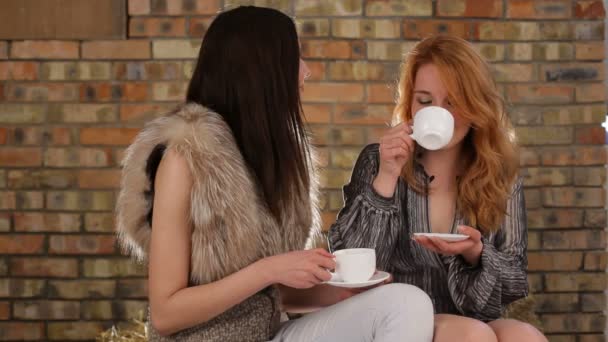 Twee vrienden drinken van koffie en praten. — Stockvideo