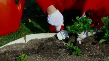 atış onu bahçede dikim kadın kapatmak