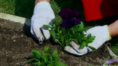 atış onu bahçede dikim kadın kapatmak