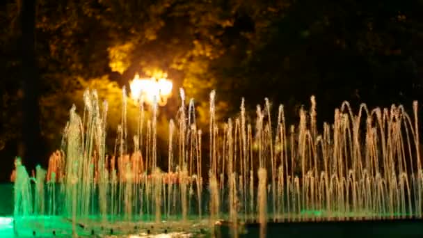 Fountains with changing backlight. Many fountains with changing backlight. — Stock Video