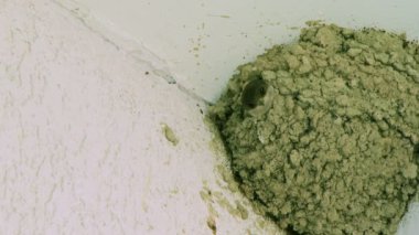 Aile swallow onun çoluk çocuk besleme.