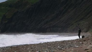 insan ve köpek sahilde. okyanus güzel dalgalar kıyıya yuvarlandı. Kumsalda bir adam köpeğiyle yürüyen.