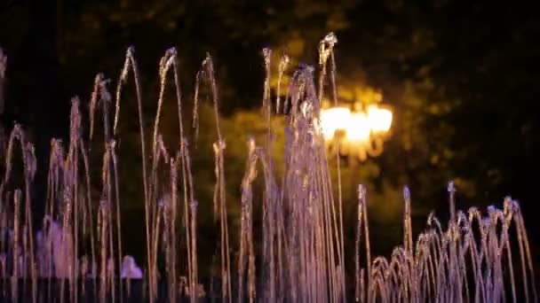 Beautiful fountains. Several small fountains with a bright light in the background. Background is blurred. — Stock Video