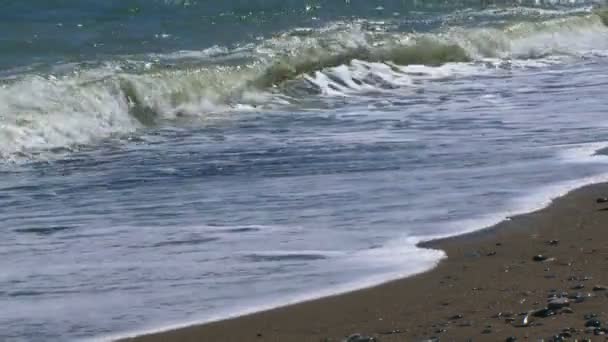 Des vagues. Belles vagues océaniques roulées à terre . — Video