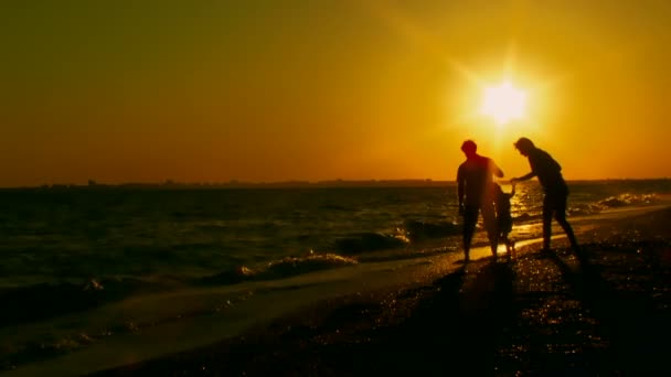 Familie. Spaß für junge Familien am Strand. — Stockvideo