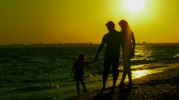 La famille. Jeune famille amusant sur la plage . — Video