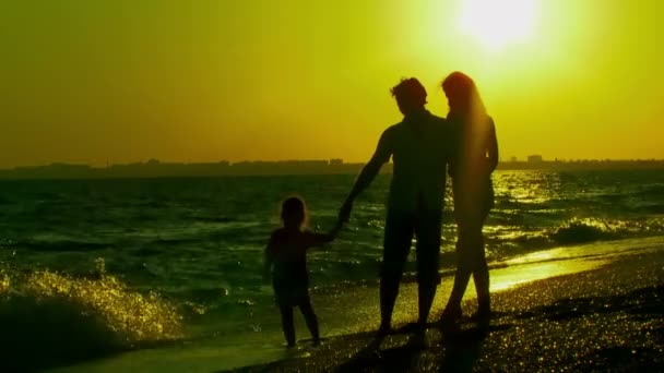 Gesprek. een groep van staande op het strand en communiceren. — Stockvideo