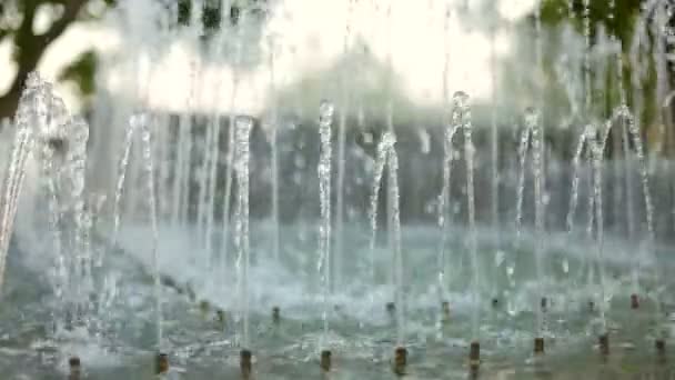 Architecture of a beautiful garden. Fountains — Stock Video