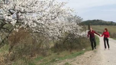 aşk iki badem yürüyor. çiçekli badem ağacının yanındaki yol boyunca çift yürüyen seviyorum.