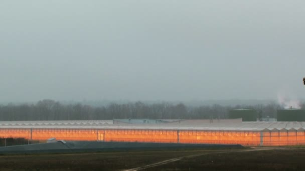 Mattina grigia nebbiosa, vasta gamma di agricoltura serra . — Video Stock