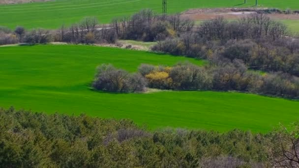 Tierra Hermosa naturaleza — Vídeo de stock