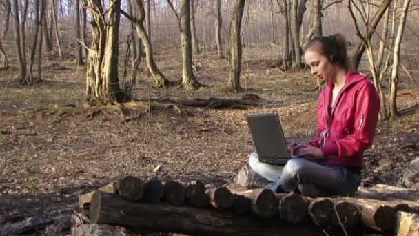 Mulher trabalhando com laptop sobre a natureza. Mulher imprime no laptop no fundo de uma bela floresta . — Vídeo de Stock