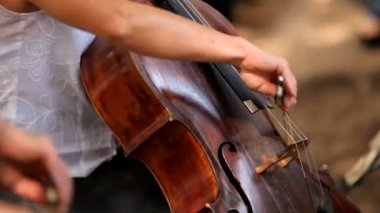 çellist. profesyonel müzisyenler Senfoni Orkestrası Çello çalan.