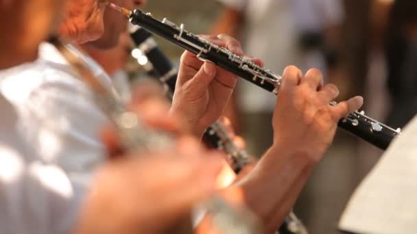 Musician plays the flute. Flutist professionally playing the flute in the orchestra. The foreground is blurred. — Stock Video