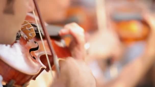 Violinistas profesionales. Algunos tocan el violín una música . — Vídeos de Stock