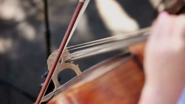 Cellista. Músicos profesionales tocando el violonchelo en la orquesta sinfónica . — Vídeos de Stock