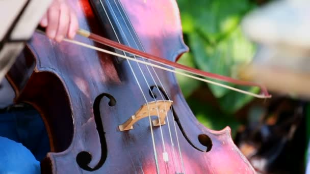 Cellista. Músicos profesionales tocando el violonchelo en la orquesta sinfónica . — Vídeo de stock