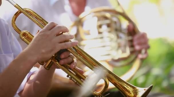 Man spelar trumpet. man av orkestern spela trumpet professionellt. — Stockvideo