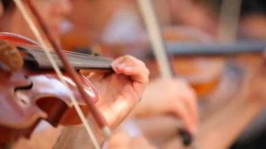 profesyonel bir kemancı. bazı keman bir müzik çalmak.