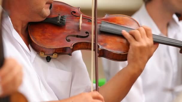 Professionelle Geiger. einige spielen Geige eine Musik. — Stockvideo