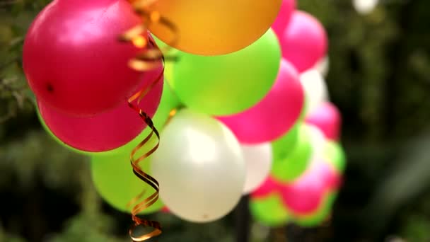 Colorful balloons. Several colorful festive balloons fastened together. — Stock Video