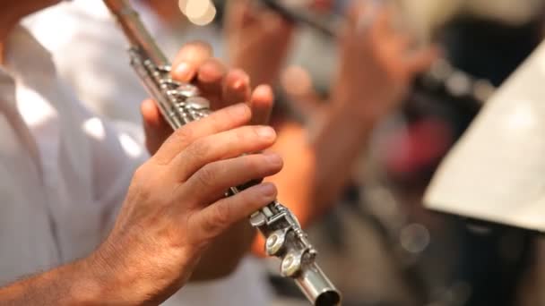 Flöjtisten spelar flöjt. flöjtisten professionellt spela flöjt i orkestern. bakgrunden är suddig. — Stockvideo