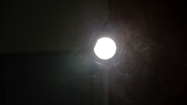 Ensam månen. ensam månen på natthimlen. — Stockvideo