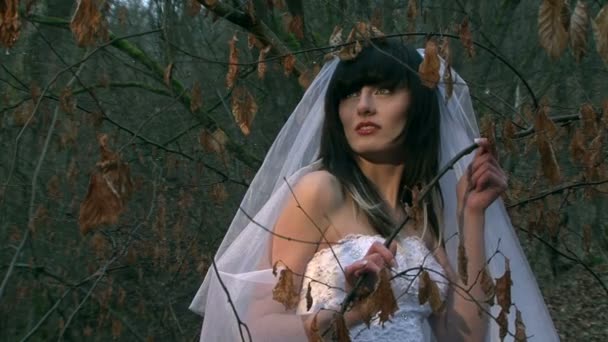 De mooie bruid poses voor de camera. — Stockvideo