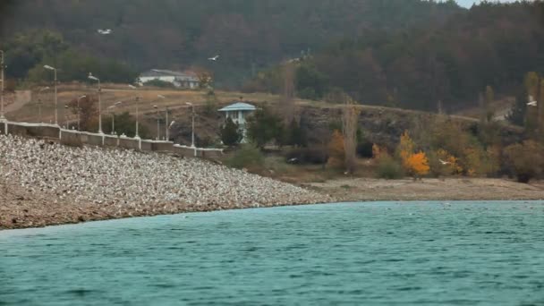 Prachtige baai. prachtige landschap baai met meeuwen. — Stockvideo