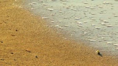 Golden beach. güzel köpüklü dalgalar altın kum yıkama.