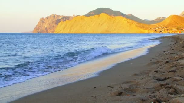 Beautiful beach. On shore the waves rolled. Above the sea gulls fly. — Stock Video