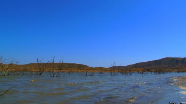 Мелкое озеро. Много мелких волн катилось по неглубокому озеру, которое затопило его берега. . — стоковое видео