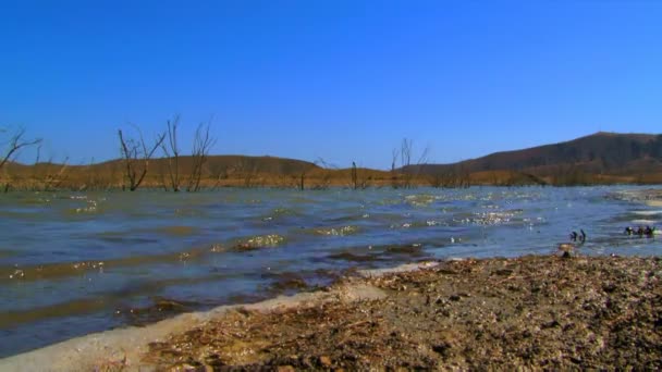 浅い湖があります。多くの銀行が殺到、浅い湖に降ろす小さな波. — ストック動画