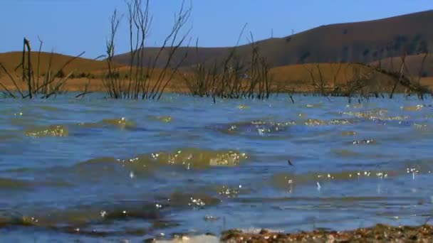 浅い湖があります。多くの銀行が殺到、浅い湖に降ろす小さな波. — ストック動画