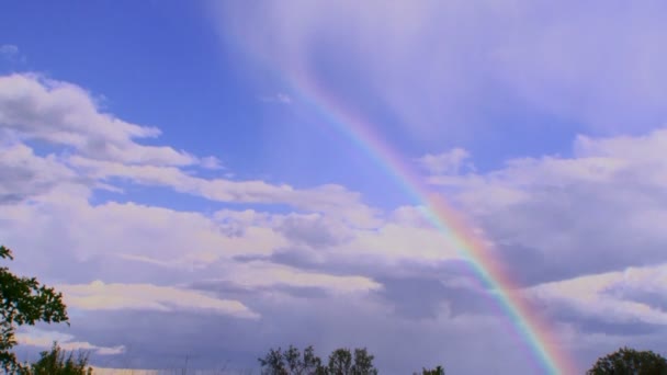 美しい虹。大雨の後に美しい虹が形成されました。. — ストック動画