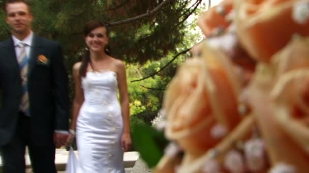 Sposo bacia la sposa — Video Stock